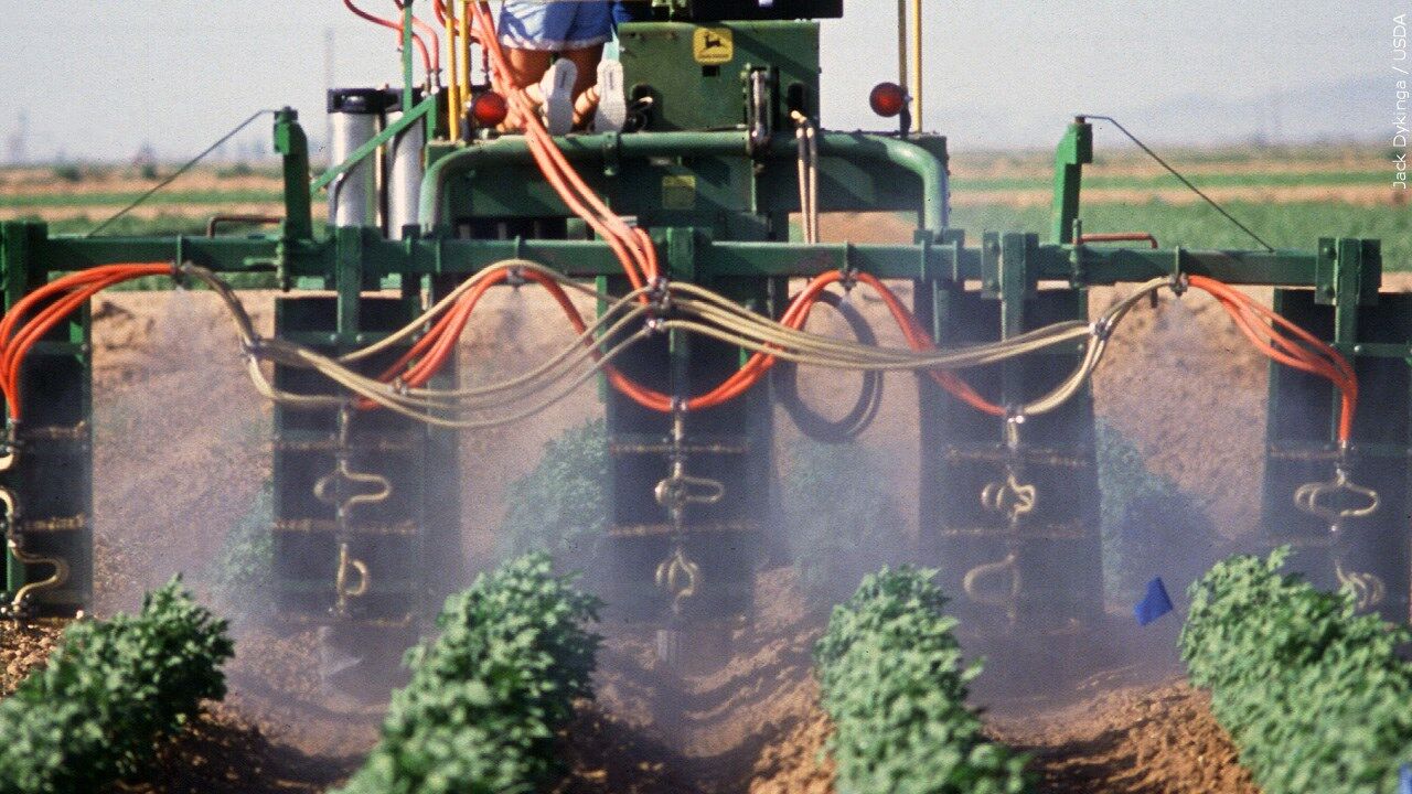 pesticide